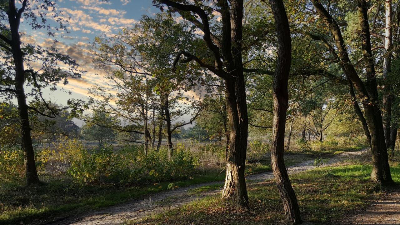Fewo Grafschaft Nordhorn Esterno foto