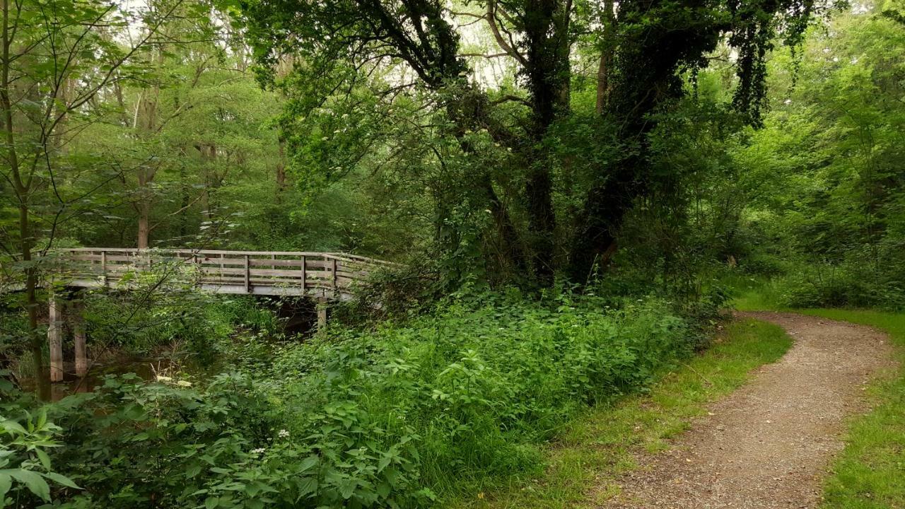 Fewo Grafschaft Nordhorn Esterno foto